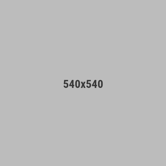 Team-Goga SoftTech 